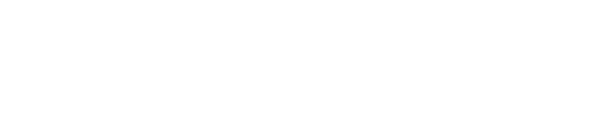 logo digestsync